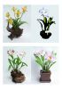 Filename=Page_Fleurs~0.jpg
Filesize=103KB
Dimensions=621x878
Date added=Oct 28, 2009 Page_Fleurs~0.jpg